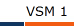 VSM 1